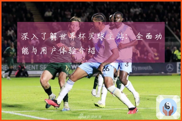 深入了解世界杯买球主站：全面功能与用户体验介绍