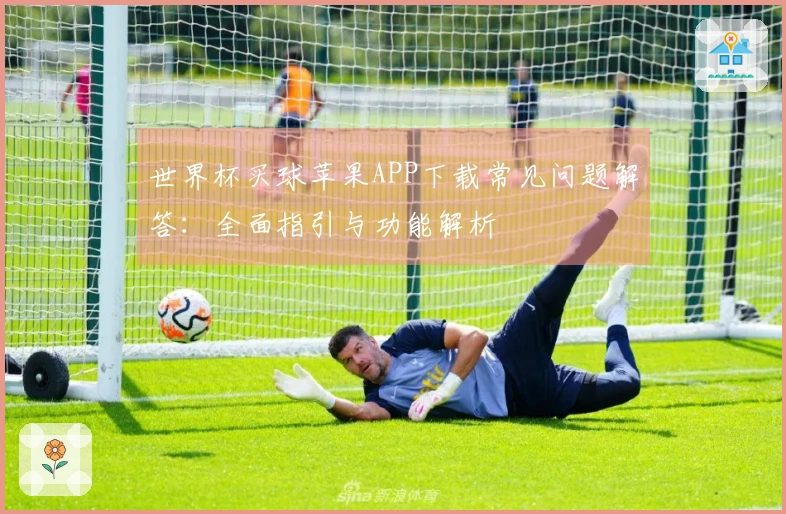 世界杯买球苹果APP下载常见问题解答：全面指引与功能解析