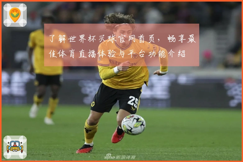 了解世界杯买球官网首页，畅享最佳体育直播体验与平台功能介绍