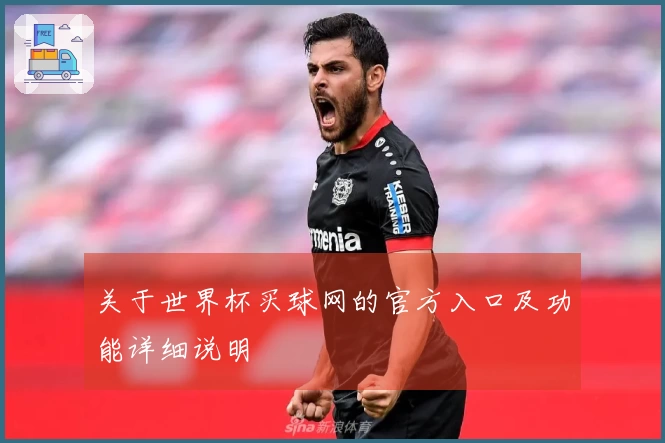 关于世界杯买球网的官方入口及功能详细说明