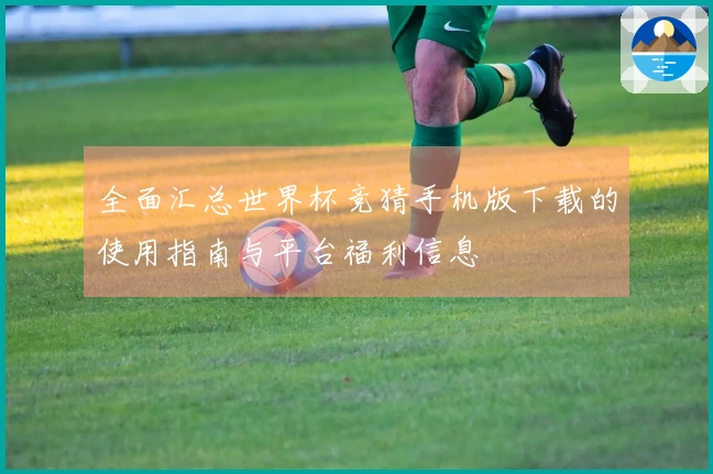 全面汇总世界杯竞猜手机版下载的使用指南与平台福利信息