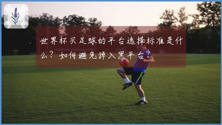 世界杯买足球的平台选择标准是什么？如何避免掉入黑平台？