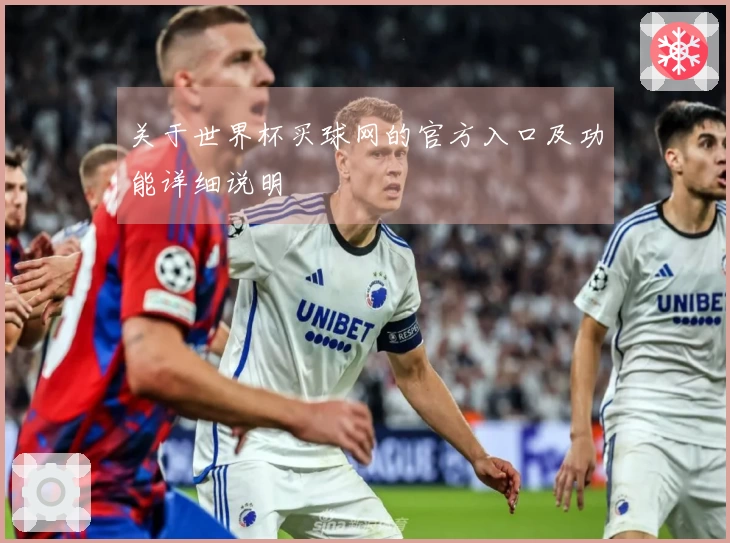 关于世界杯买球网的官方入口及功能详细说明