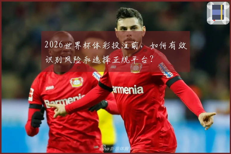 2026世界杯体彩投注前，如何有效识别风险和选择正规平台？