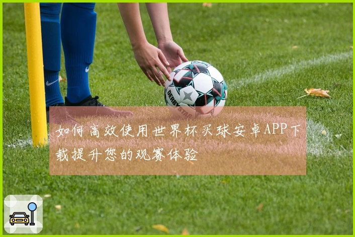 如何高效使用世界杯买球安卓APP下载提升您的观赛体验