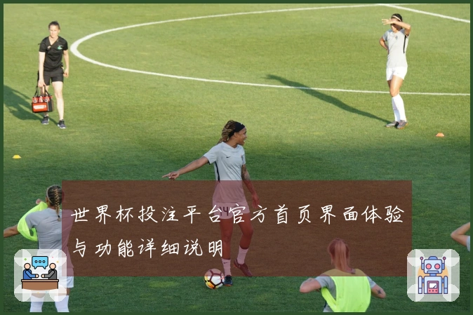 世界杯投注平台官方首页界面体验与功能详细说明