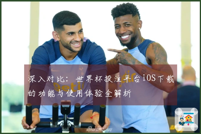 深入对比：世界杯投注平台iOS下载的功能与使用体验全解析