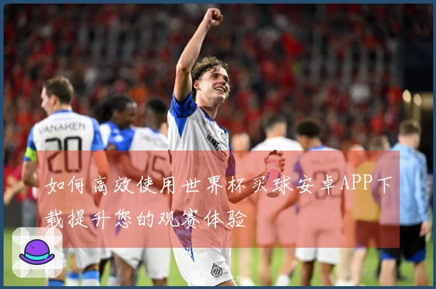如何高效使用世界杯买球安卓APP下载提升您的观赛体验