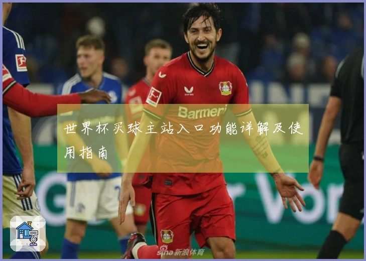 世界杯买球主站入口功能详解及使用指南