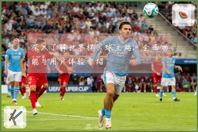 深入了解世界杯买球主站：全面功能与用户体验介绍