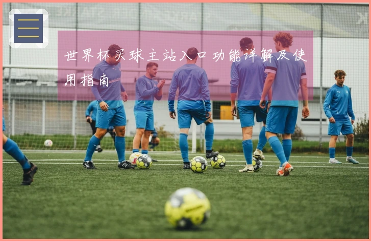 世界杯买球主站入口功能详解及使用指南